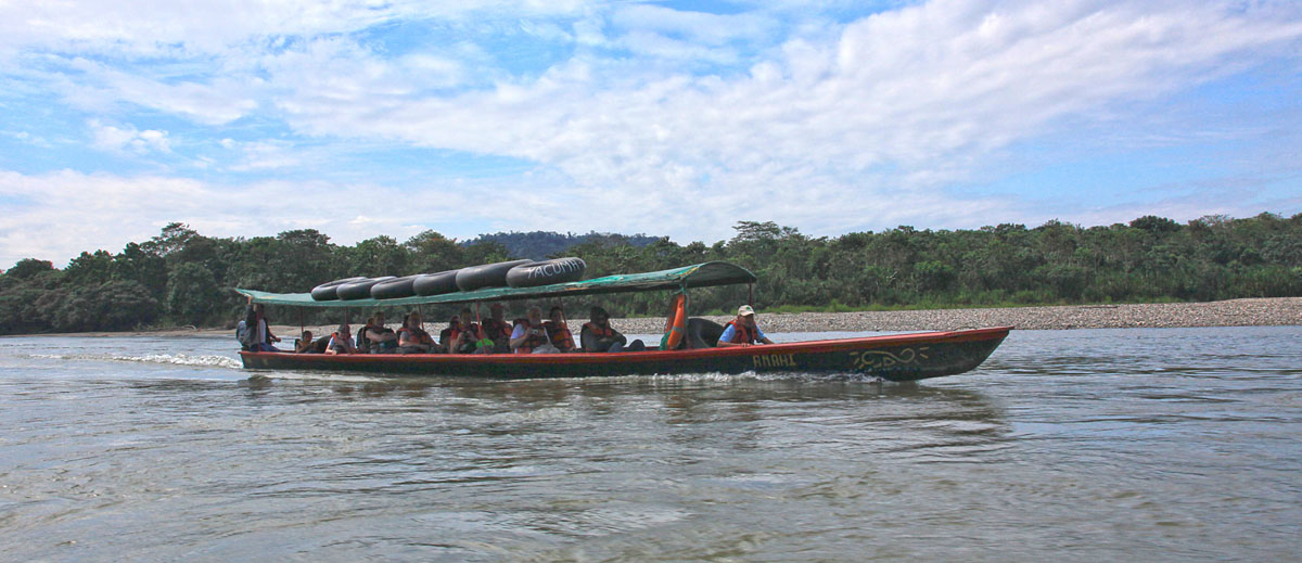 Op weg naar AmaZOOnica